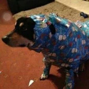 Meet your Posher, Luke